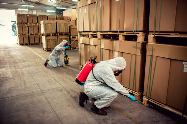 Best Wasp Removal Services  in Louisville, CO