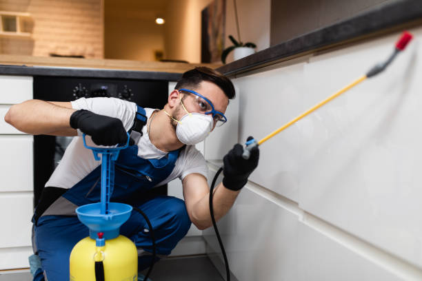 Best Affordable Pest Control Services  in Louisville, CO