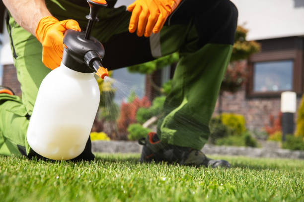 Pest Control Cost in Louisville, CO