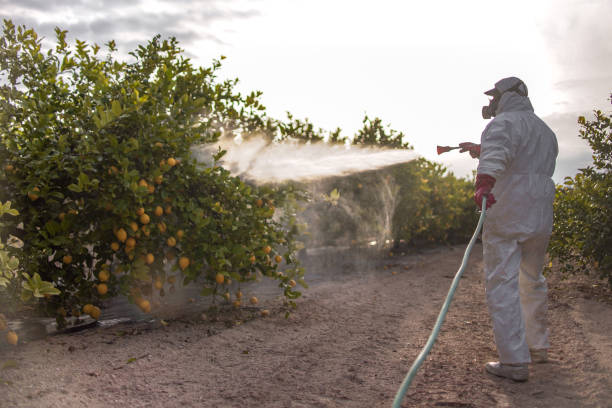 Best Pest Inspection Near Me  in Louisville, CO